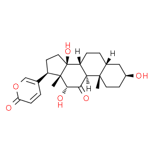 偽異沙蟾毒精