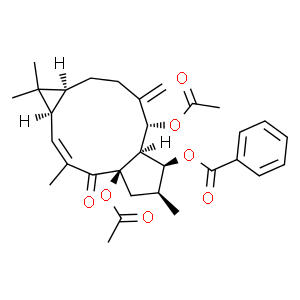 千金子素L3