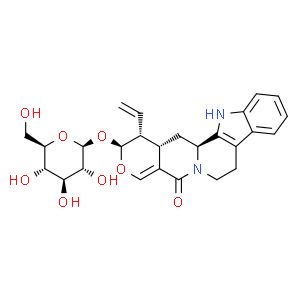 異長春花苷內酰胺