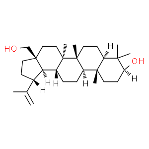 白樺脂醇