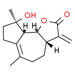 木香內(nèi)酯
