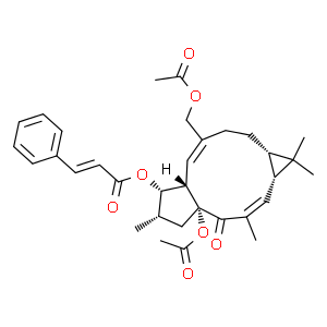 千金子素L7a